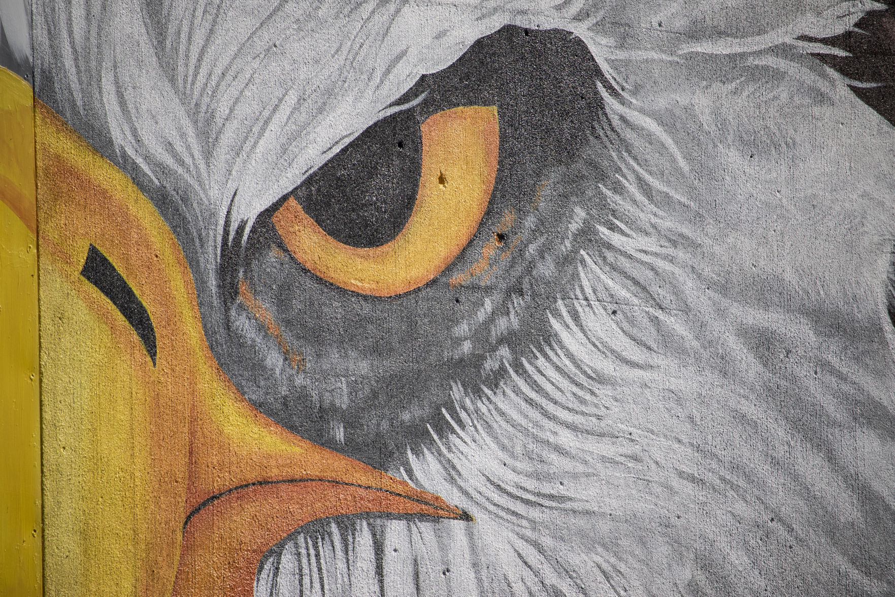 Mural